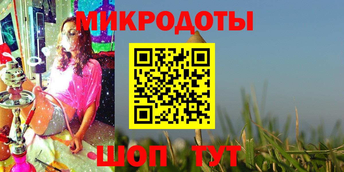 Донской  Псилоцибиновые грибы мицелий  Вход с VPN 