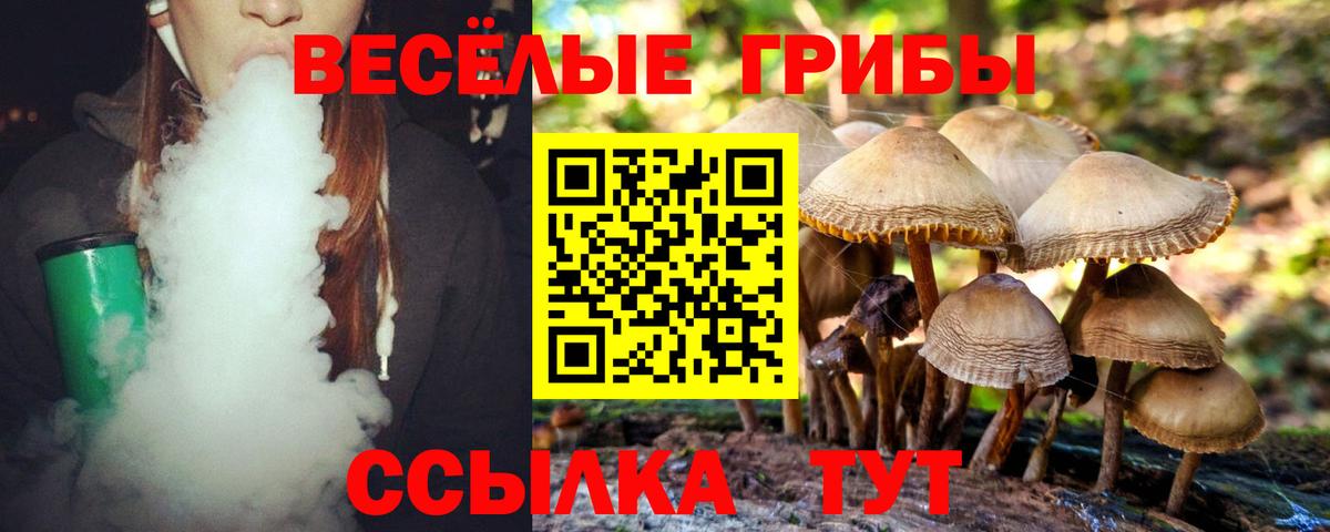 Псилоцибиновые грибы Psilocybine cubensis Донской